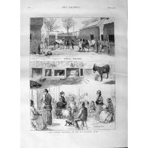  1875 ANIMAL HOSPITAL WANDSWORTH ROAD KENNELS DONKEY