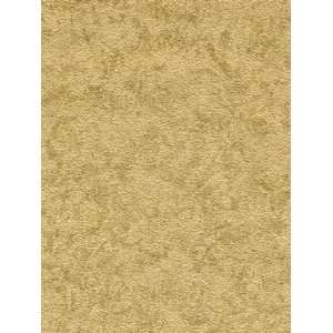  Wallpaper Patton Wallcovering Chronos Silva Leaves 8992906 