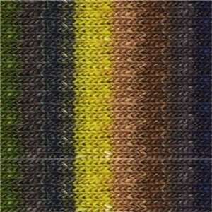  Noro Silk Garden [Yellow, Gray, Brown, Olive ] Everything 