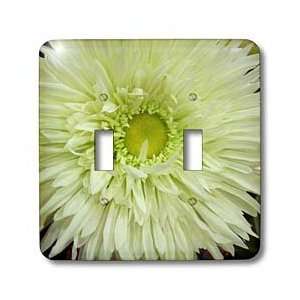 Florene Flower   Big n Pretty   Light Switch Covers   double toggle 