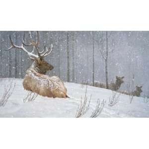 Robert Bateman   Evening Snowfall   American Elk Museum Edition Artist 