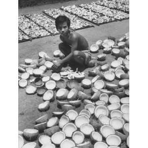  Young Merchant Drying Out Trays Full of Opened Coconuts in 