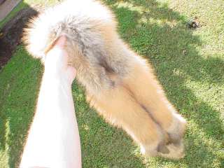 Alaska Pearl Cross fox pelt/fur/tanned hide/log cabins/  