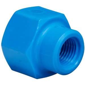 Tefen Nylon 66 Pipe Fitting, Reducing Coupling, Blue, 1/4 x 1/8 BSPT 