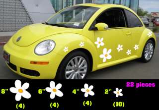 VW Beetle Flowers, Flowers for Beetle, Punch buggy Flowers, Punch bug 