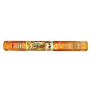  La Virgen De Guadalupe   20 Stick Hex Tube   HEM Incense 