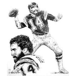  Dan Fouts San Diego Chargers 16x20 Lithograph Sports 
