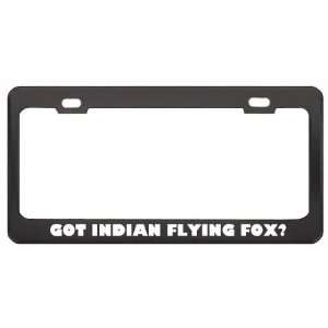 Got Indian Flying Fox? Animals Pets Black Metal License Plate Frame 