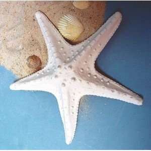 Sand Stone Resin Starfish Plaque/Figure Set of 2