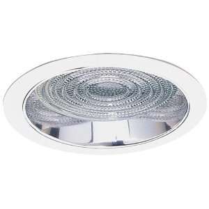  HID Downlight Housings 8 HID Clear Reflector with Fresnel Lens and