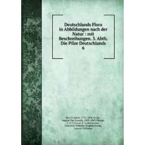   , Friedrich Wilhelm Teophil,Sturm, Johann Wilhelm Sturm Books