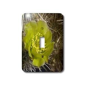   State Park, California.   Light Switch Covers   single toggle switch