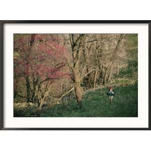  Woman Hiking in Springtime, Blue Ridge Framed Photographic 