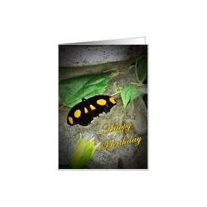  Black and Yellow Butterfly   Birthday Card Health 