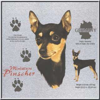 Miniature Pinscher Min Pin Dog Origin T Shirt S 2X,3X  