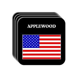  US Flag   Applewood, Colorado (CO) Set of 4 Mini Mousepad 