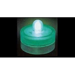  Box of 10 Acolyte Submersible Floralyte Green