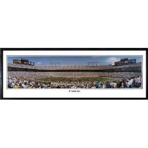   Panthers 47 Yard Line Panoramic Poster From the Rob Arra Collection