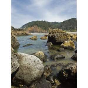 Intertidal Zone with Rocks in the Water Looking Up Coast Photographic 
