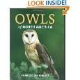  Owls Books