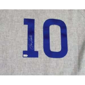 MLB Chicago Cubs Ron Santo Autographed Jersey  Sports 