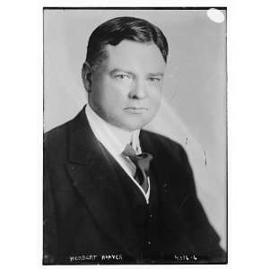  Herbert Hoover