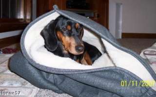 Your Doxies in Our Snuggle Bags items in Whats Up Dox Dachshund 