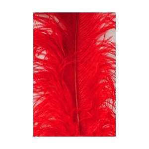  16 18 Ostrich Feathers   Red (Pack of 12) Arts, Crafts 
