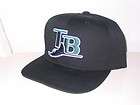 Tampa Bay DEVIL RAYS Inaugural Season 1998 Brown & Black Baseball Hat 