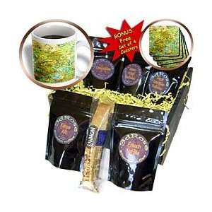 Florene Contemporary Abstract   Sunken Treasure   Coffee Gift Baskets 