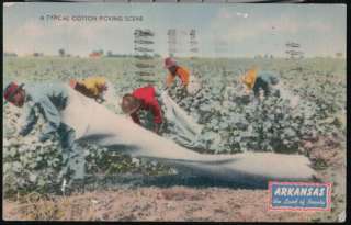 BLACK AMERICANA AR Picking Cotton Vtg Arkansas Postcard PC  