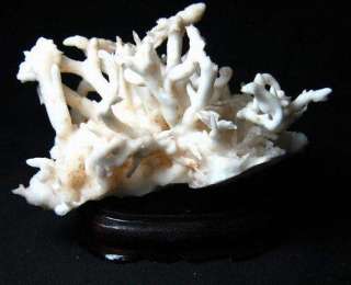 8LB fibrous snowy white ARAGONITE argx9iaz214  