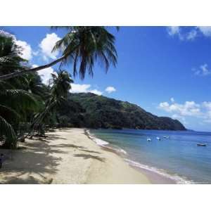  Castara Bay, Tobago, West Indies, Caribbean, Central 