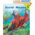 Books Childrens Books Scarlet macaw