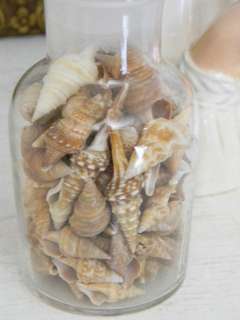 Pr. Pharmaceutical Glass Jars filled w/Seashells~2CHIC  
