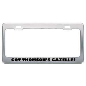 Got ThomsonS Gazelle? Animals Pets Metal License Plate Frame Holder 