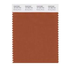  PANTONE SMART 18 1250X Color Swatch Card, Bombay Brown 