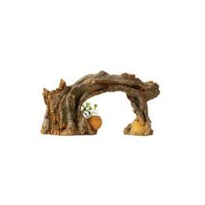  Design Elements Twisted Root Arch Aq. Ornament Med. 11.5in 