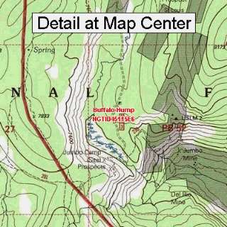  USGS Topographic Quadrangle Map   Buffalo Hump, Idaho 