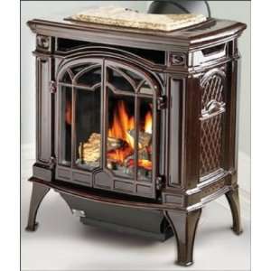   Iron Direct Vent Stove Electronic Ignition Summer Moss Finish Natural