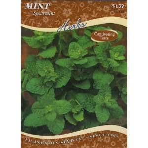  Mint (P) Patio, Lawn & Garden