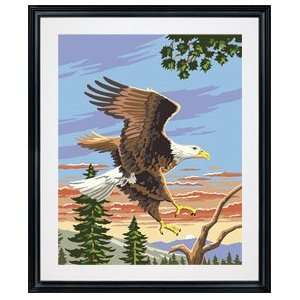  Plaid 21704 Paint By Number Kit, Eagle, 16 Inch by 20 Inch 