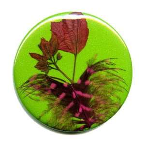 Pocket Mirror Light Green with Artistic Dark Red Pressed Leaf Flowers 