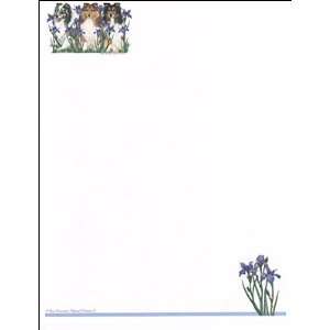  Sheltie Stationery   20 Sheets