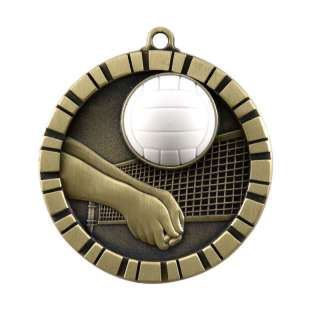 Raised Image Volleyball Medals w/Ribbon Award Trophy  
