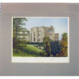    1870 Antique Print View Birr Castle Ireland Garden