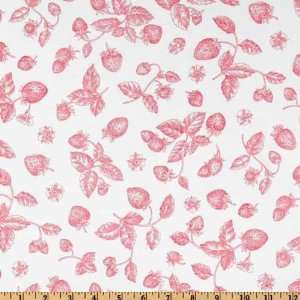  44 Wide Fruit Basket Toile Strawberries White/Red Fabric 