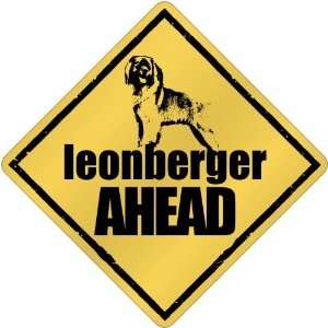  New  Leonberger Bites Ahead   Crossing Dog