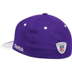  Minnesota Vikings 2010 Player Sideline Hat (Purple 