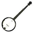 Golden Gate P 214 Hearts and Flowers, Fiddle Peghead 5 String Banjo 